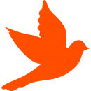 dove dove